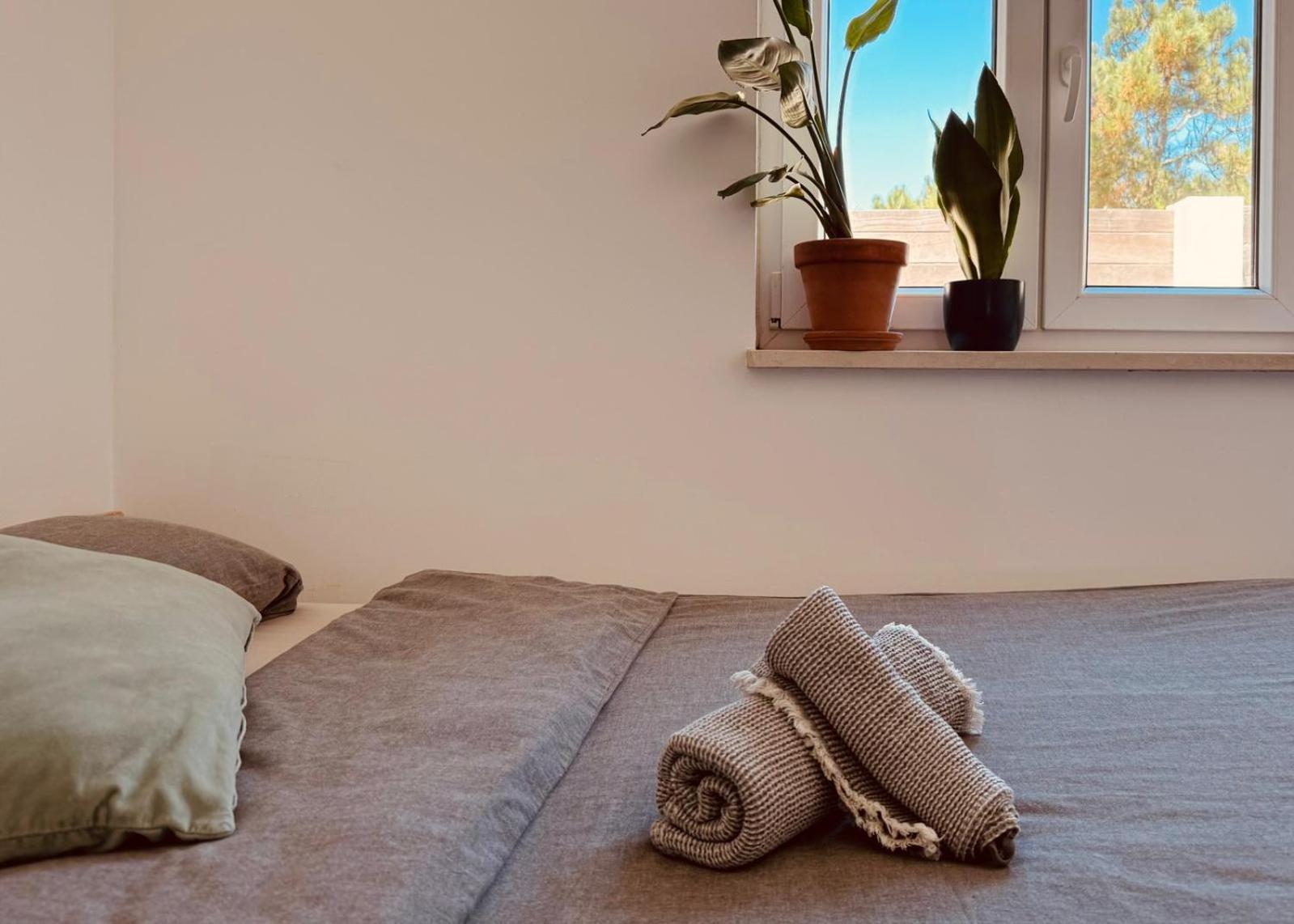 Saone Guesthouse & Coworking エリセイラ エクステリア 写真